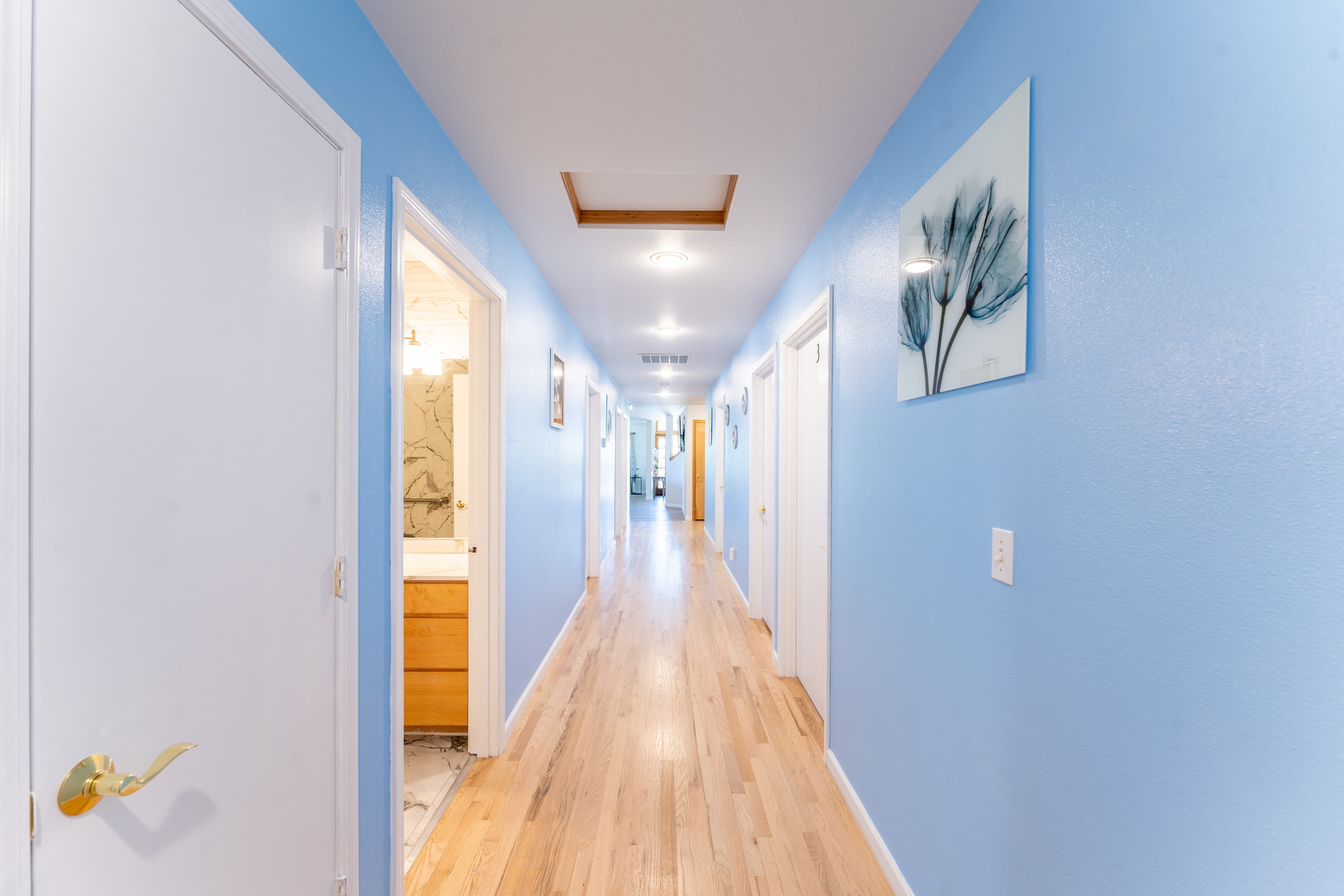 House image
